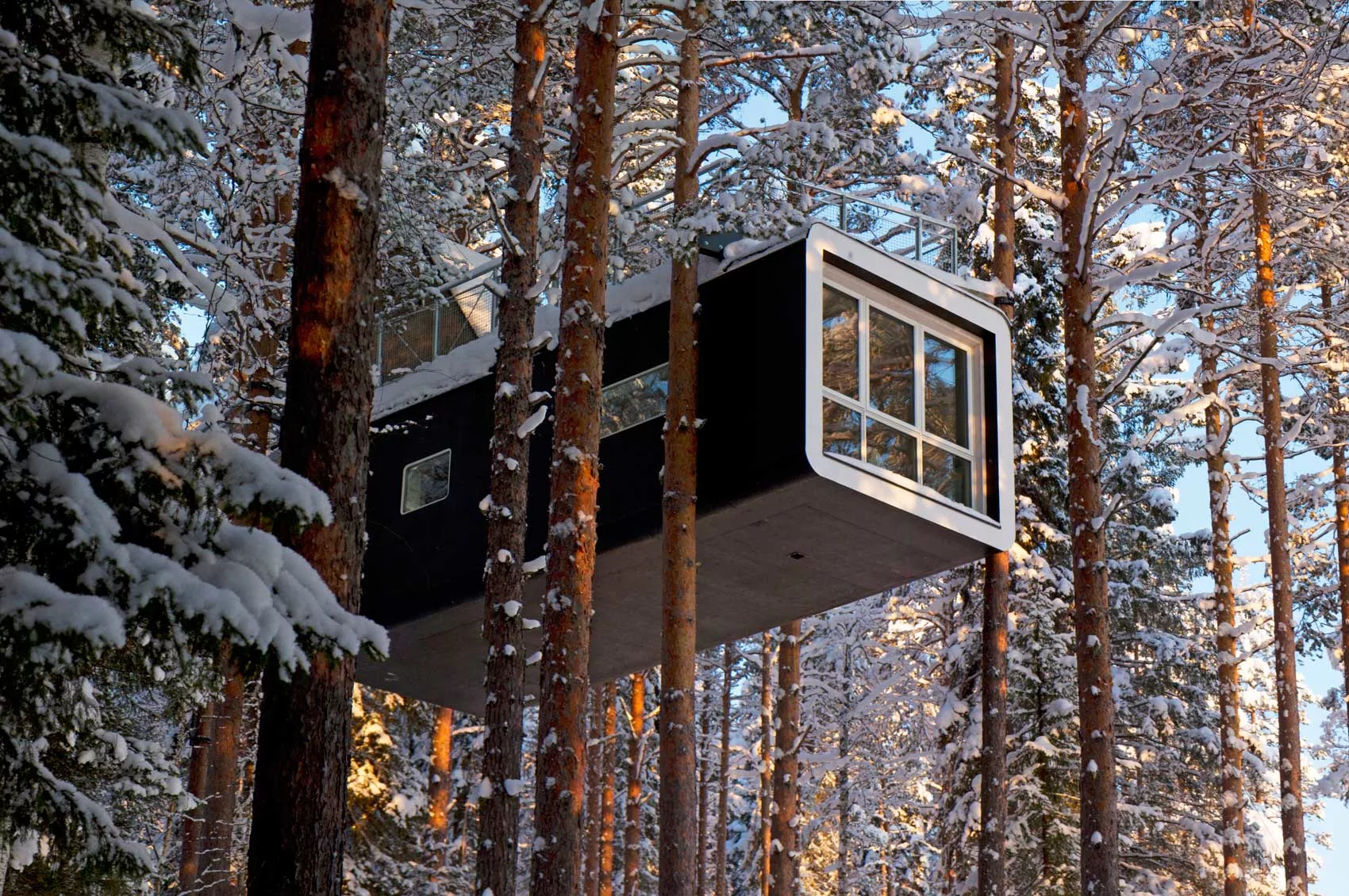 Treehotel